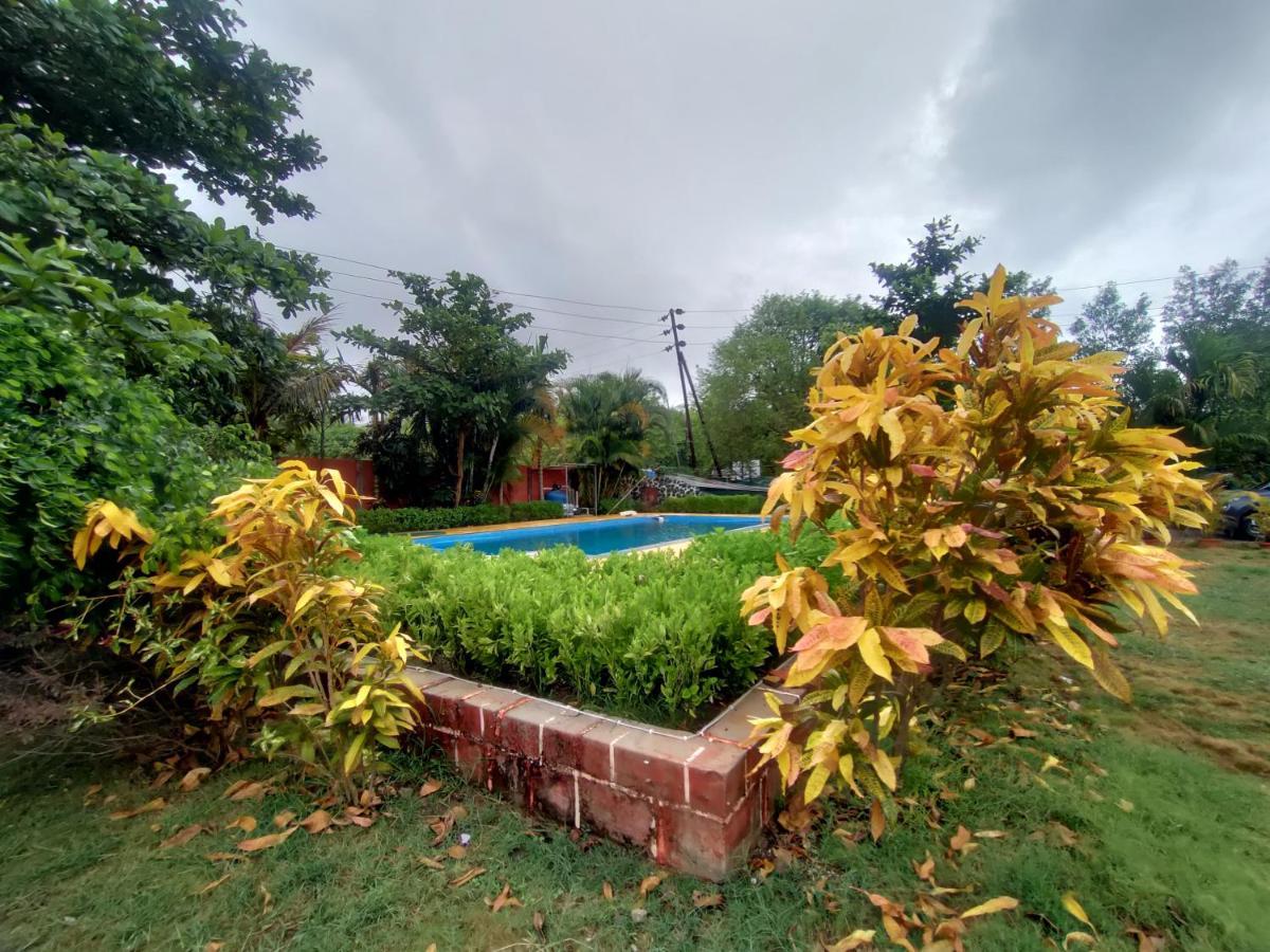 Opulence Resort Awas Alibaug Alibág Kültér fotó